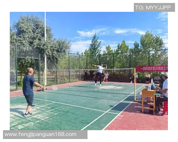 陈娜独家分享羽毛球技巧与心得助你提升球技的全面指南